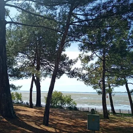 Villa Le Mauret Andernos-les-Bains Exterior foto