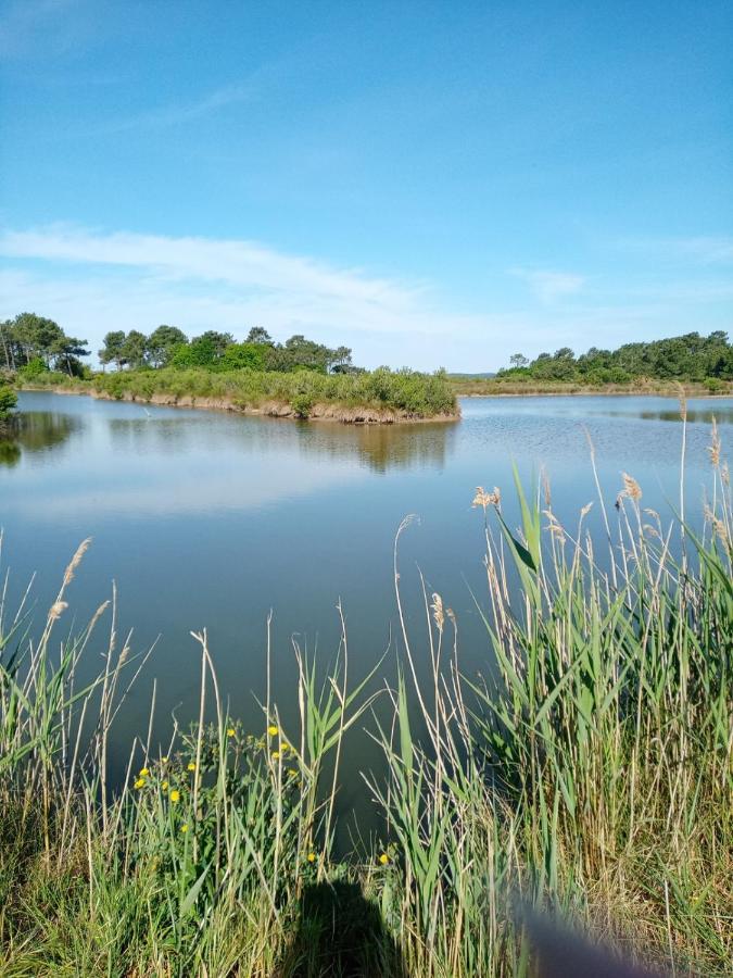 Le Mauret *