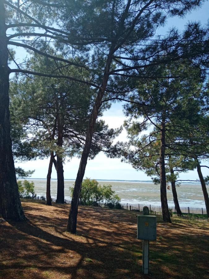 Le Mauret * Andernos-les-Bains